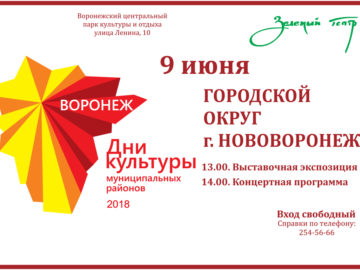 День культуры Нововоронежа